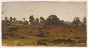 Uitzicht op een Veld door Auguste Francois Bonheur
