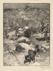 Fontainebleau Bos: Cuvier-Châtillon Klif