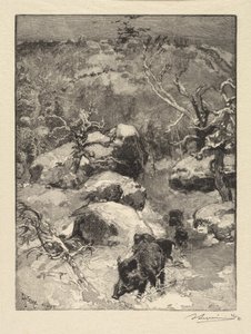 Fontainebleau Bos: Cuvier-Châtillon Klif