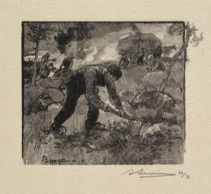 Fontainebleau Bos: Het Uittrekken van Heide