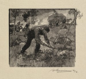 Fontainebleau Bos: Het trekken van de heide