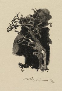 Bos van Fontainebleau: De woedende, 1890 door Auguste Louis Lepère