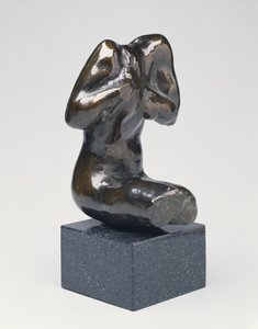 Klein Zittend Vrouwelijk Torso