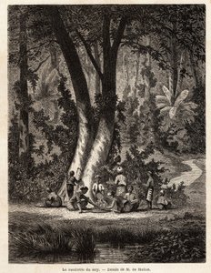 Het plukken van Syri, of betel, waarvan het met kalk bedekte blad essentieel is voor de productie van lokale Chic. Tekening door M. de Molins, om zijn reis naar Java te illustreren door Auguste de Molins