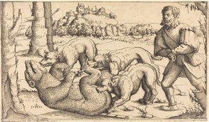 Berenjacht door Augustin Hirschvogel