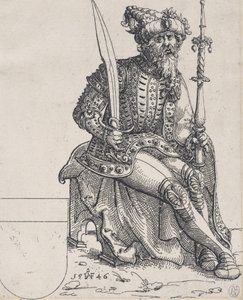 Maximiliaan I, uit Herberstain, Rerum Moscoviticarum Commentarii, 1546 door Augustin Hirschvogel