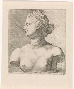 Buste van Venus de