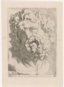 Hoofd van Laocoön