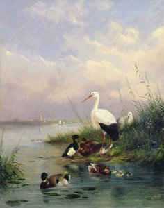 Een familie van wilde eenden, twee ooievaars en een familie van kuifeenden door Augustus Knip