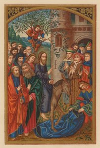 Hosanna Filio David