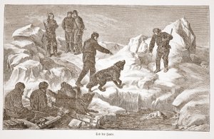 Jagen met honden, 1876 door Austrian School