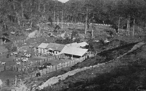 Fazenda de Criacao Campos do Jordao, Criacao Boerderij, 1895