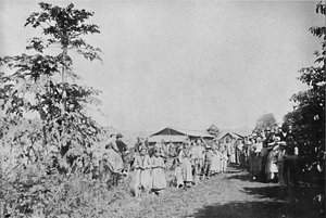Feest in een kolonie, 1895