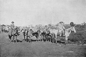 Handelaren van het binnenland, 1895