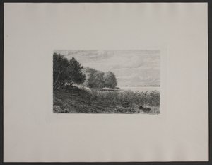 Deens: Ved Esrum sø
