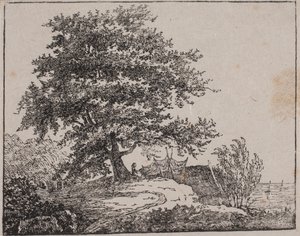 Boom op een helling bij de zee door Axel Theodor Kittendorff