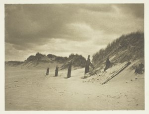 Zandduinen