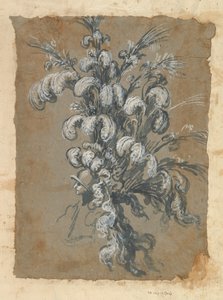 Ontwerp voor een Weelderige Hoofdtooi met Veren op een Helm, ca. 1620-56 door Baccio del Bianco