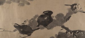 Vogels in een lotusvijver