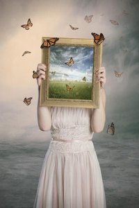 Vlinders – Droomlandschap-lijst
