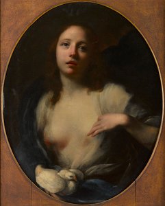 Schilderij van een jong meisje met witte duif door Baldassare (1611 89) Franceschini