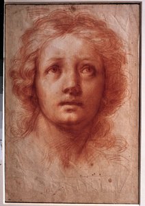 Studie van een vrouwenhoofd, de vaste blik omhoog gericht. Tekening in inkt en was door Franceschini Baldassare genaamd il Volterrano (1611-1689). 17e eeuw. Dim. 0,42x0,28m. Parijs, Louvre Museum door Baldassare  Franceschini