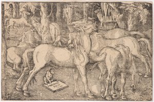 Groep van zeven paarden, 1534 door Baldung