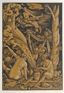 Heksen door Baldung