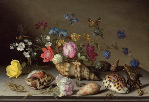 Bloemen, schelpen en insecten op een stenen richel