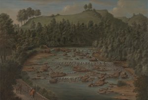 Aysgarth Falls, Yorkshire door Balthazar Nebot