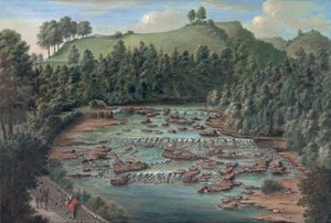 Aysgarth watervallen, Yorkshire