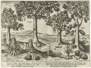 Fruitbomen en -struiken uit Oost-Indië door Baptista van Doetechum