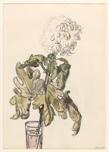 Bloeiende chrysant, in een vaasje