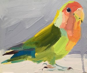 Liefdesvogel, 2017