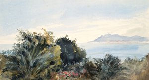 Landschap met waterpartij