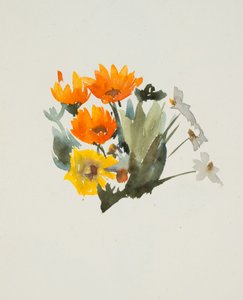 Oranje bloemen