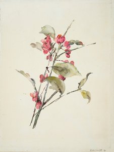 Roze bloemen door Barbara Leigh Smith Bodichon