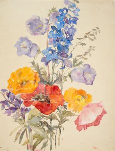 Gele, rode en blauwe bloemen