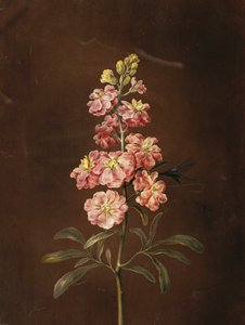 Een roze stok met een libel door Barbara Regina Dietzsch