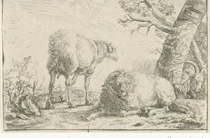 Twee schapen en een geit door Barend Graat