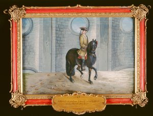 Nr. 17 Een donkerbruin paard van de Spaanse Rijschool dat een schouder-in dressuurstap uitvoert