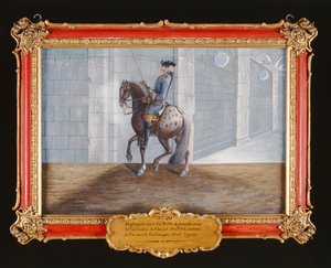 Nr. 20 Een schimmel van de Spaanse Rijschool die de Volte dressuurstap uitvoert door Baron Reis Eisenberg