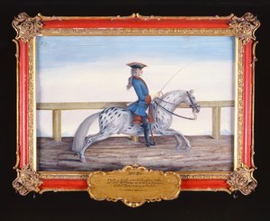 Nr. 29 Een schimmel van de Spaanse Rijschool dat een dressuurbeweging uitvoert