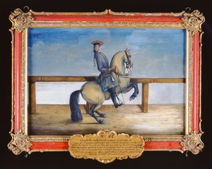 Nr. 45 Een paard van de Spaanse Rijschool dat een dressuurbeweging genaamd de Courbette uitvoert