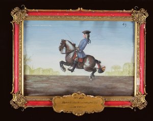 Nr. 49 Een paard van de Spaanse Rijschool dat een dressuurbeweging genaamd de Ballotade uitvoert