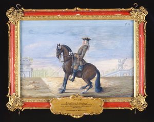 Nr. 54 Een Deense kastanjebruin paard van de Spaanse Rijschool dat een dressuurbeweging uitvoert