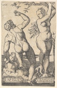 Apollo en Daphne omgekeerde kopie