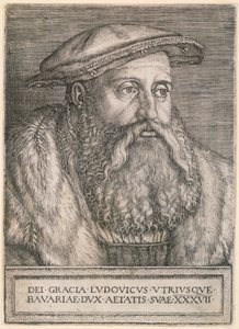  door Barthel Beham