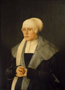  door Barthel Beham
