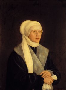  door Barthel Beham